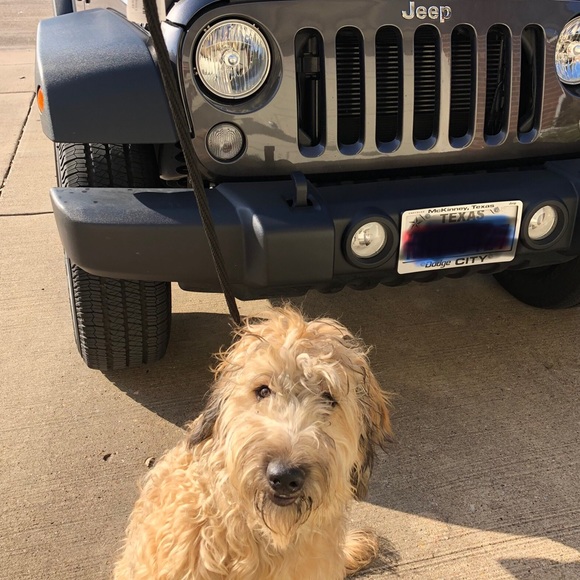 Meet your Posher, Heather - Picture 8 of 8